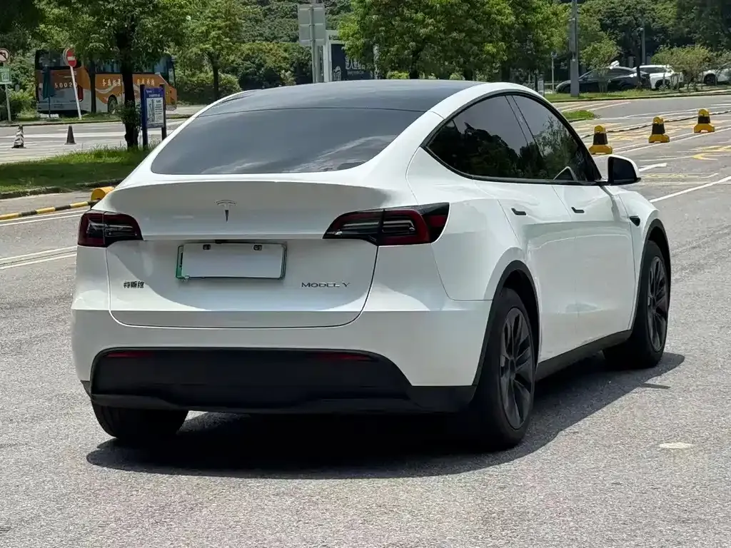 Tesla Model Y — фото 3