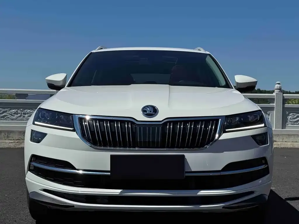 Skoda Karoq — фото 7