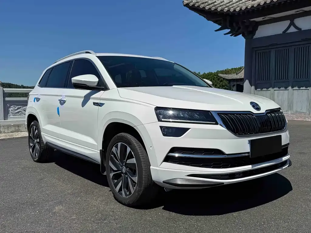 Skoda Karoq — фото 6