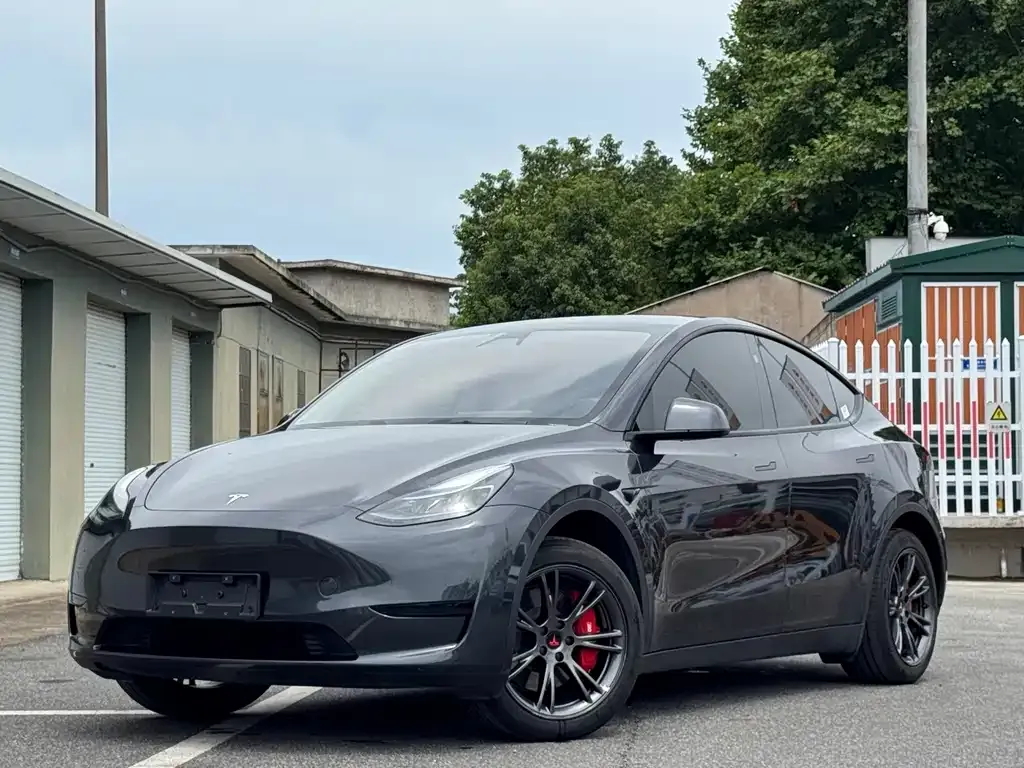 Tesla Model Y — фото 1