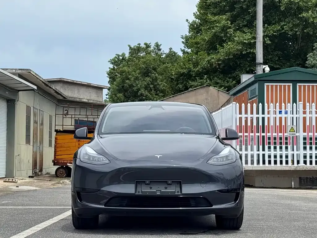 Tesla Model Y — фото 4
