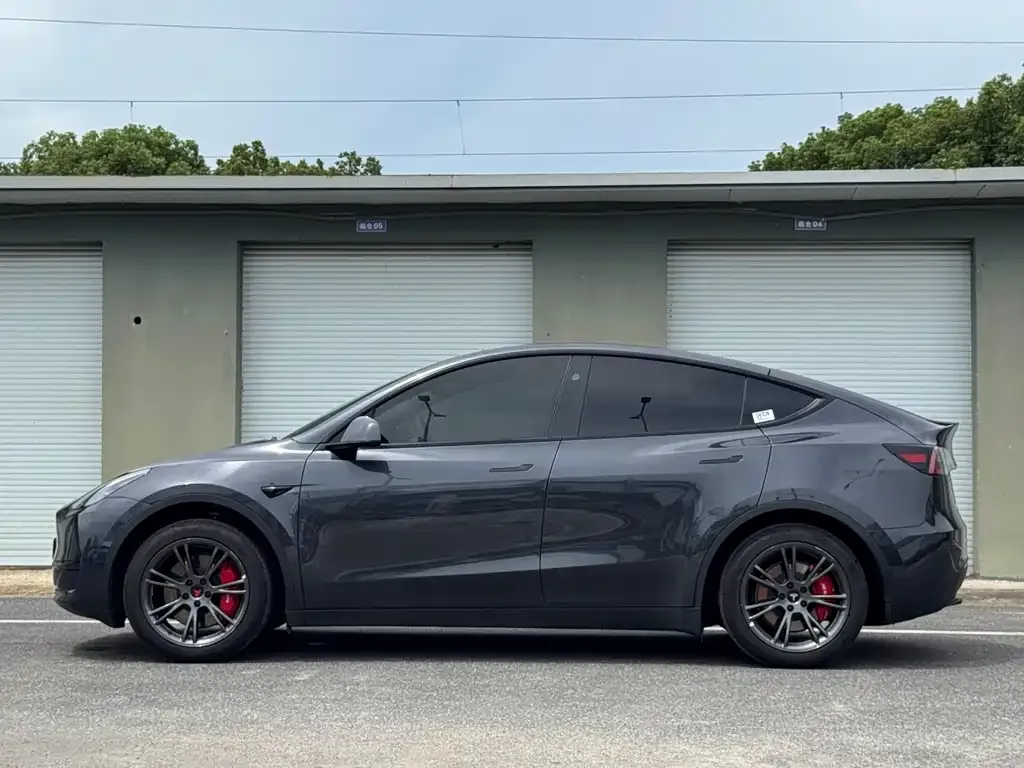 Tesla Model Y — фото 10