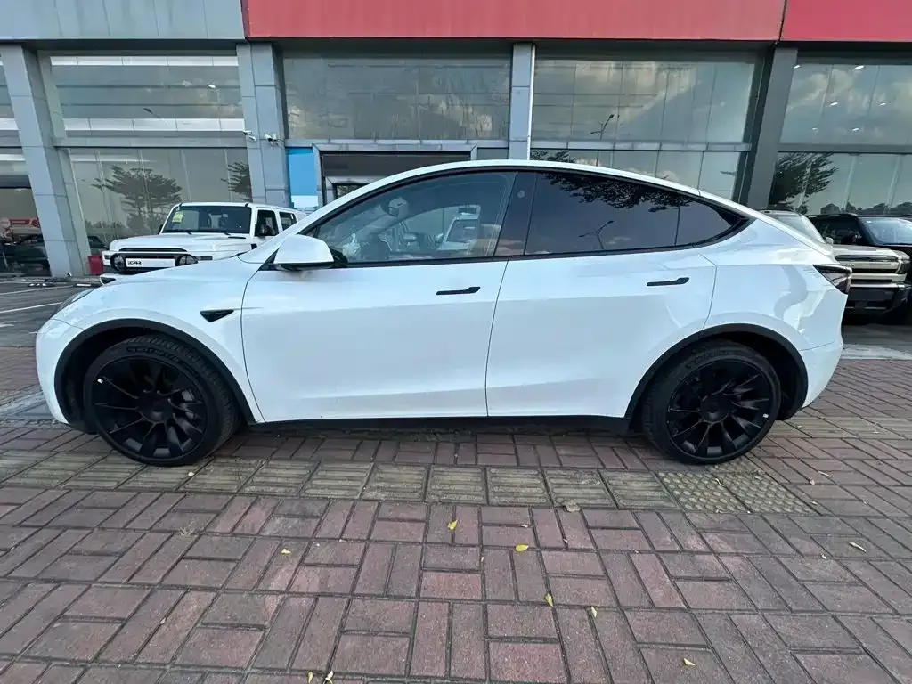 Tesla Model Y — фото 6