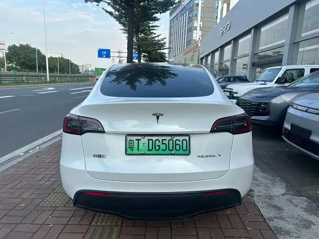 Tesla Model Y — фото 3