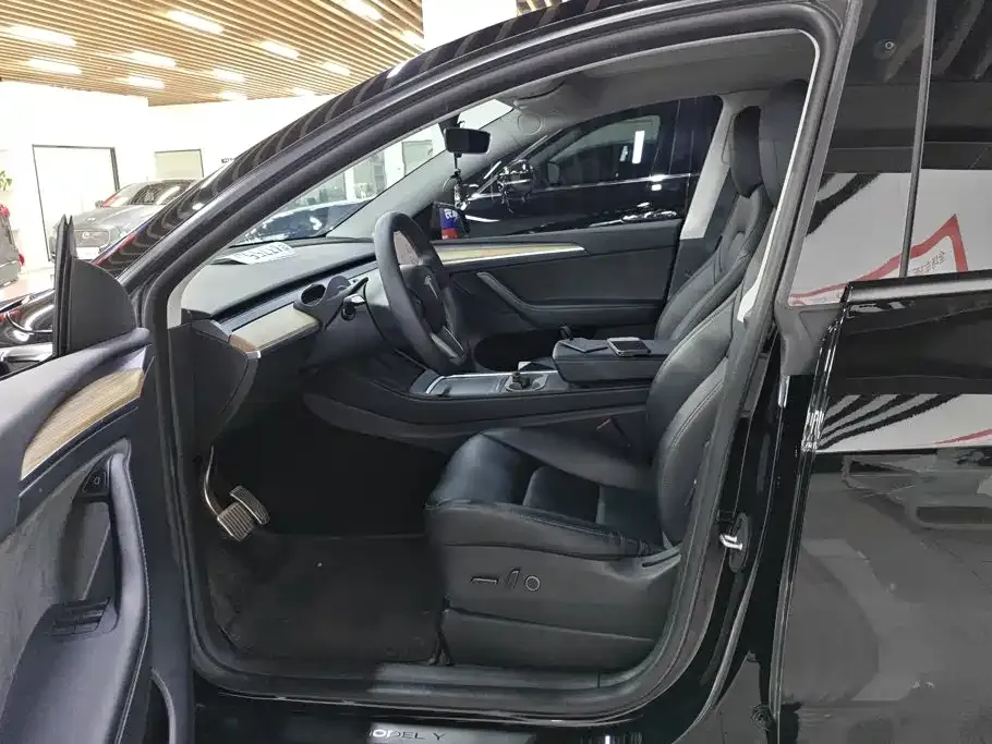 Tesla Model Y — фото 10