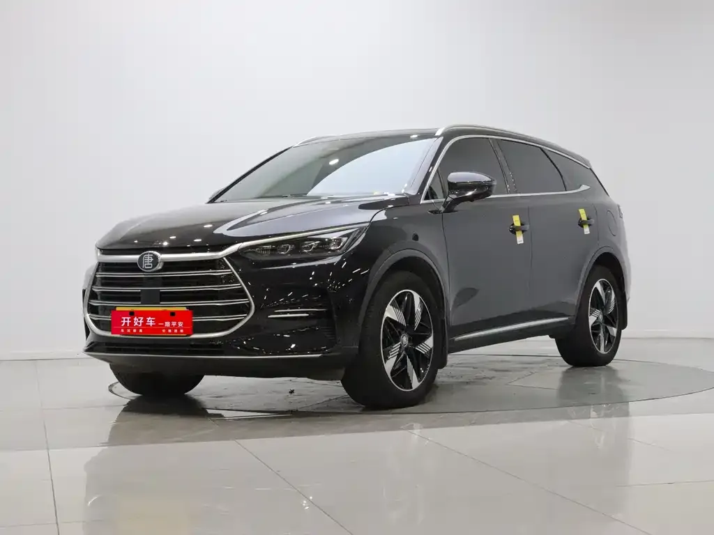 BYD Tang New Energy — фото 1