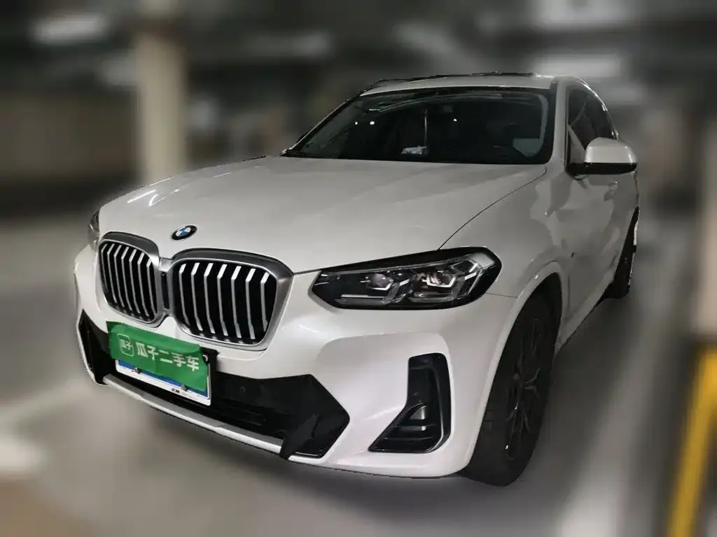 BMW X3 — фото 1
