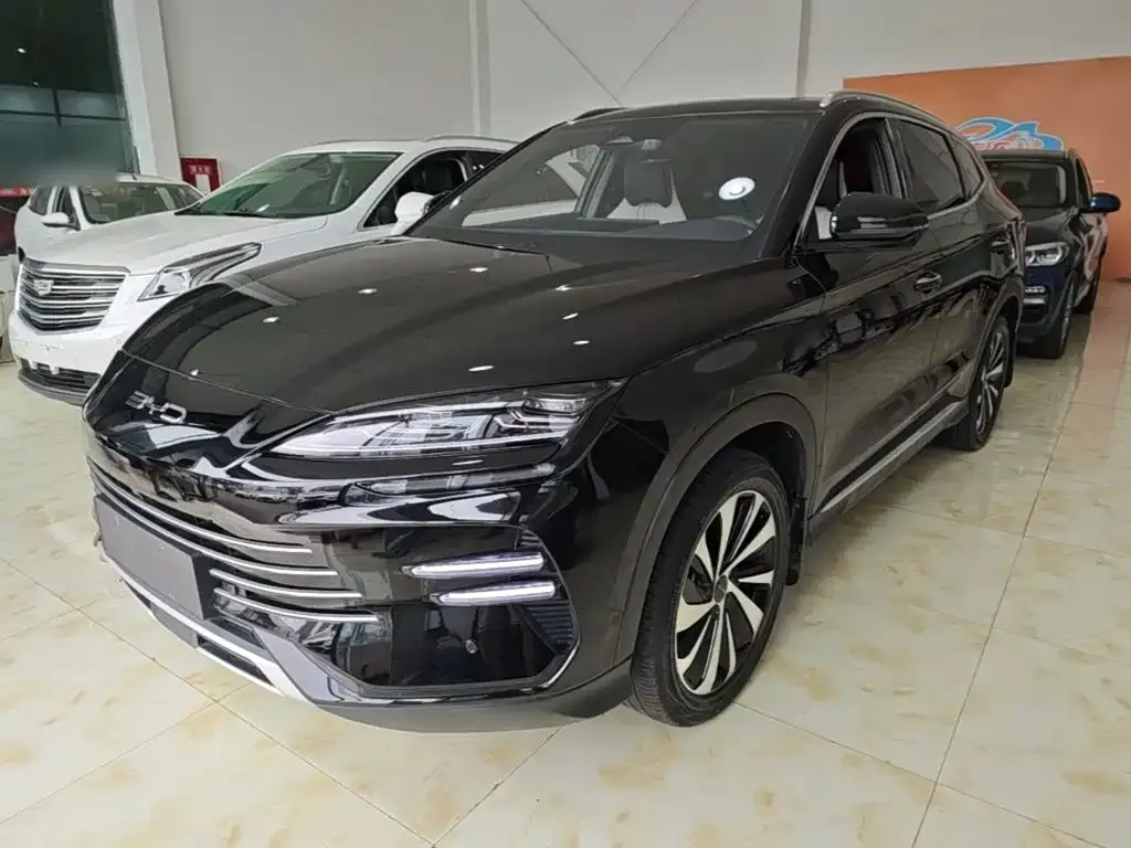 BYD PLUS New Energy — фото 1