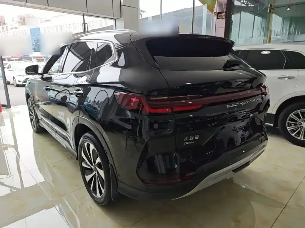 BYD PLUS New Energy — фото 10