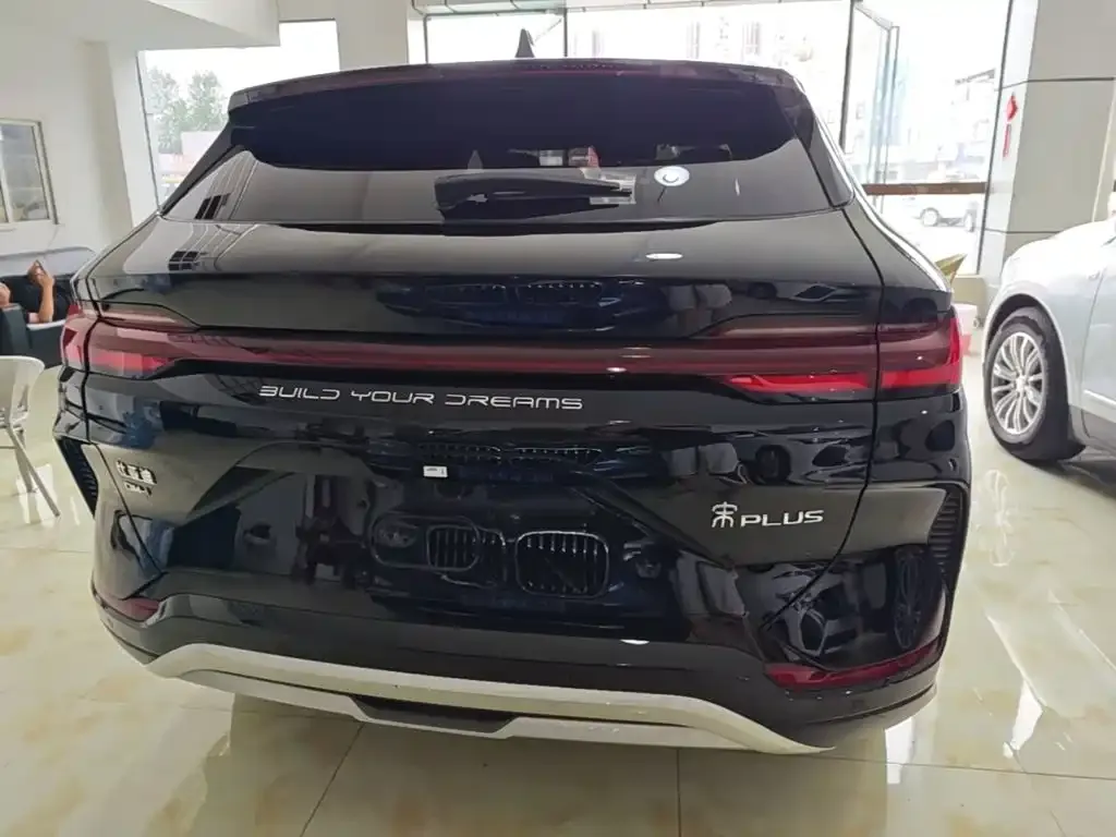 BYD PLUS New Energy — фото 5
