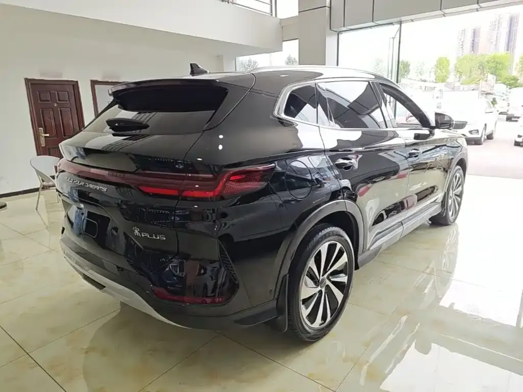 BYD PLUS New Energy — фото 6