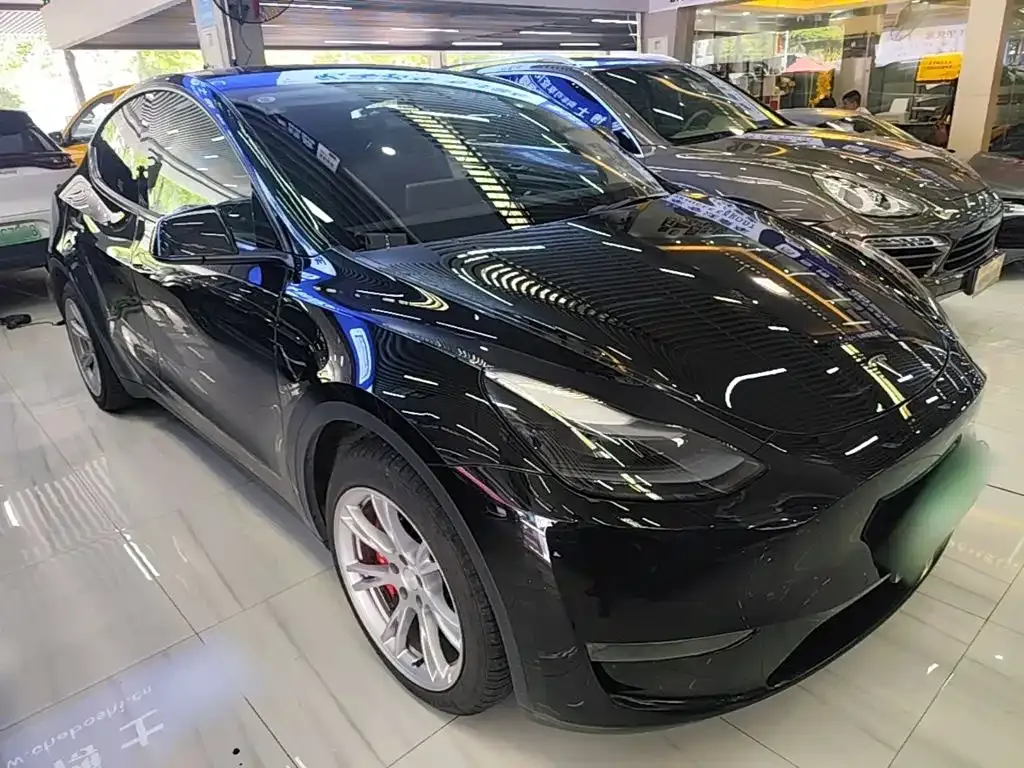 Tesla Model Y — фото 10