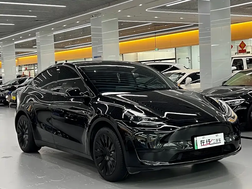 Tesla Model Y — фото 6
