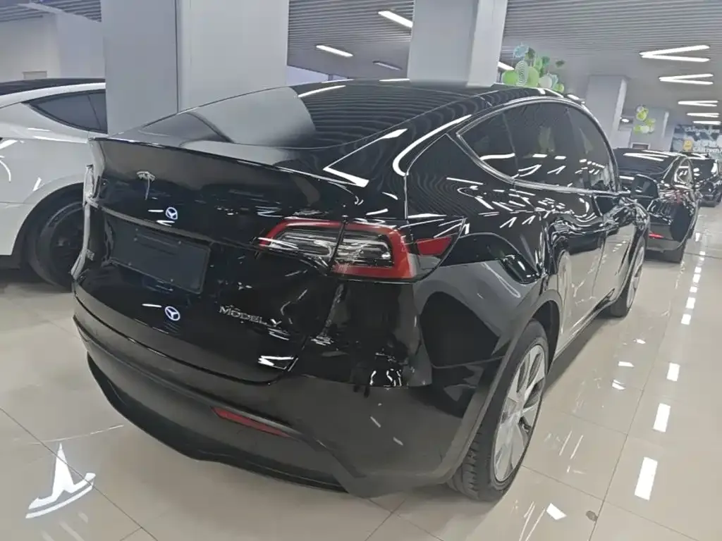 Tesla Model Y — фото 2