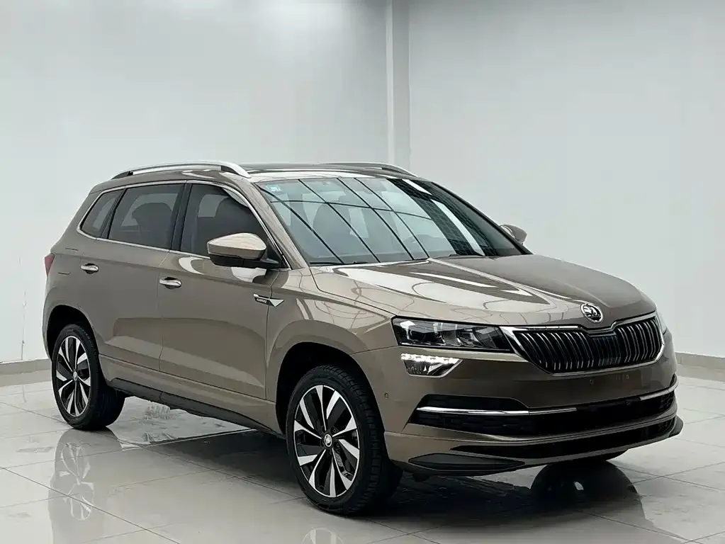 Skoda Karoq — фото 6