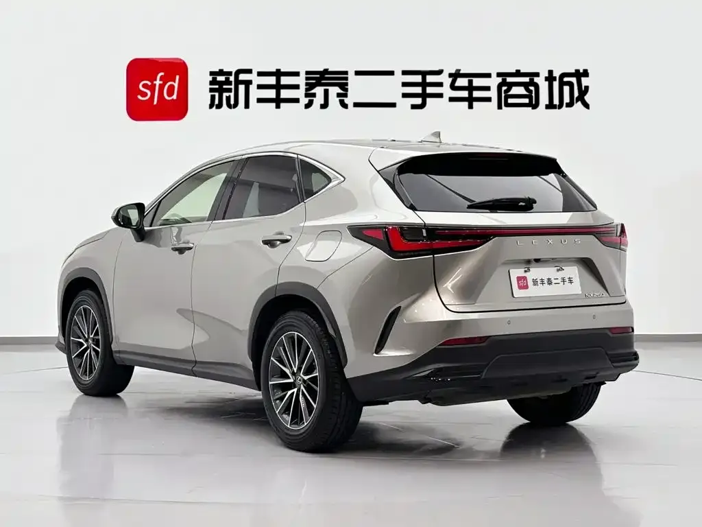 Lexus NX — фото 6