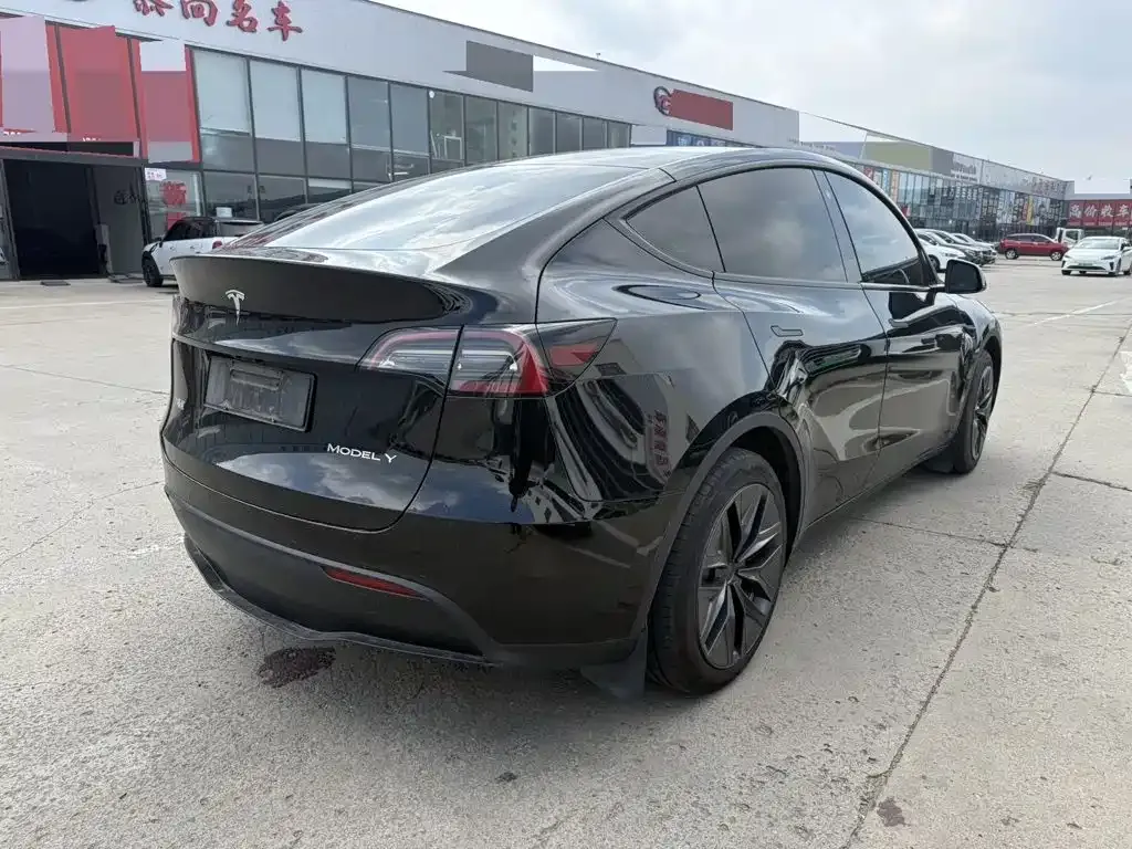Tesla Model Y — фото 5