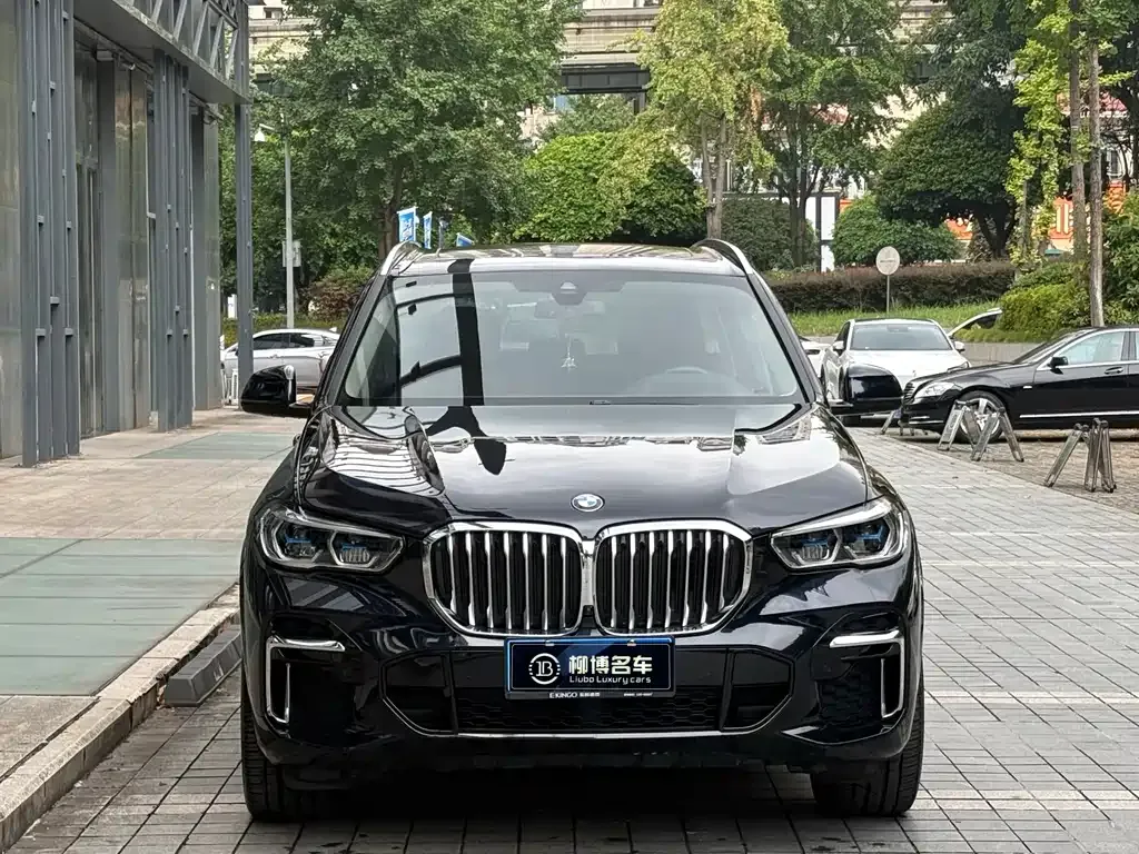 BMW X5 — фото 9