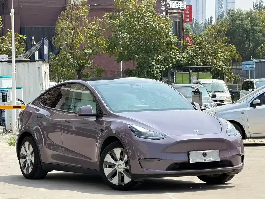 Tesla Model Y — фото 9