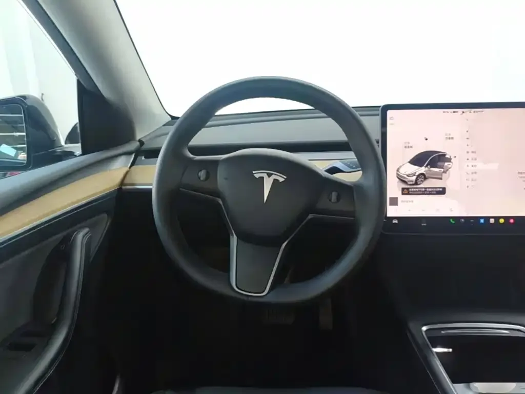 Tesla Model Y — фото 8
