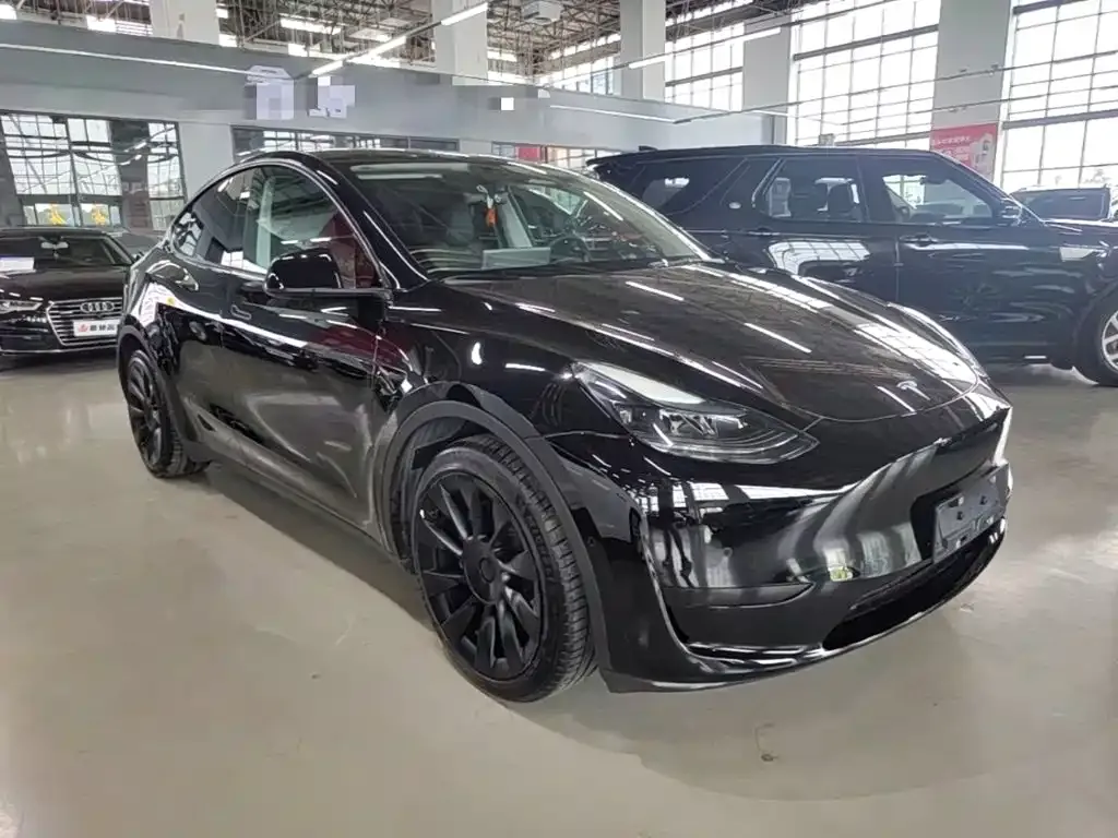 Tesla Model Y — фото 6
