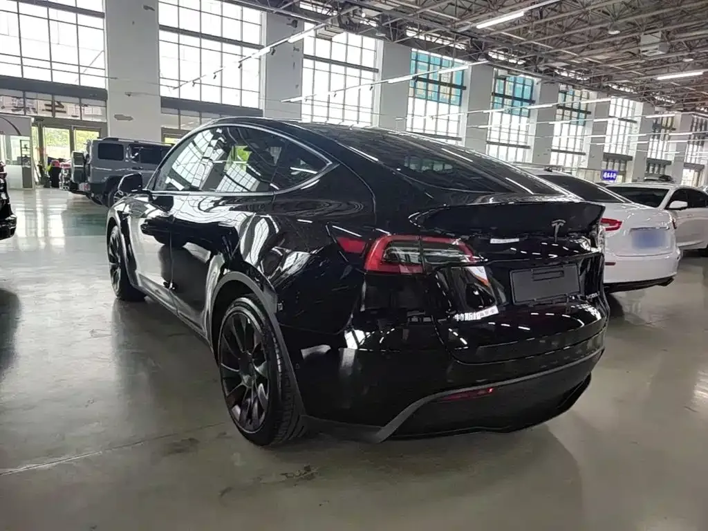 Tesla Model Y — фото 10