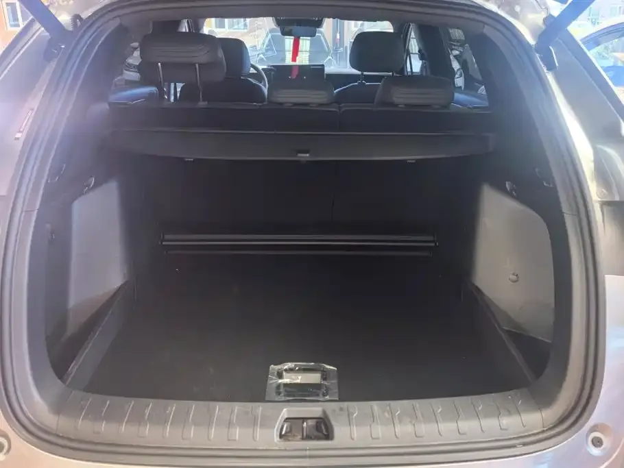 BYD L DM-i — фото 3