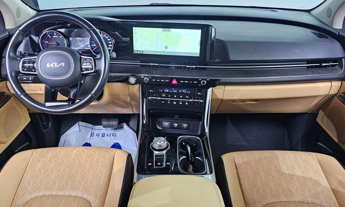 Kia Carnival — фото 10