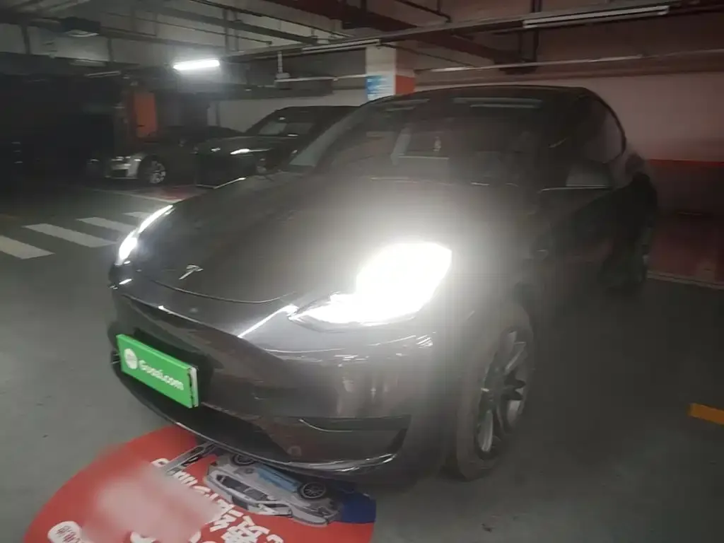 Tesla Model Y — фото 6