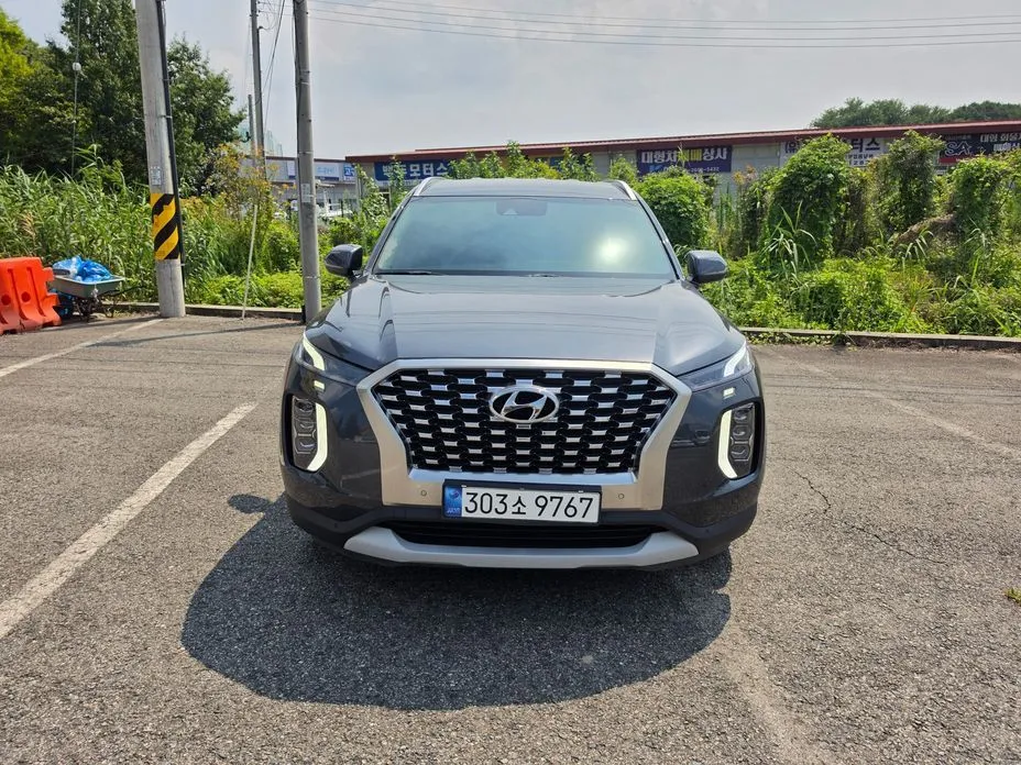 Hyundai Palisade — фото 7