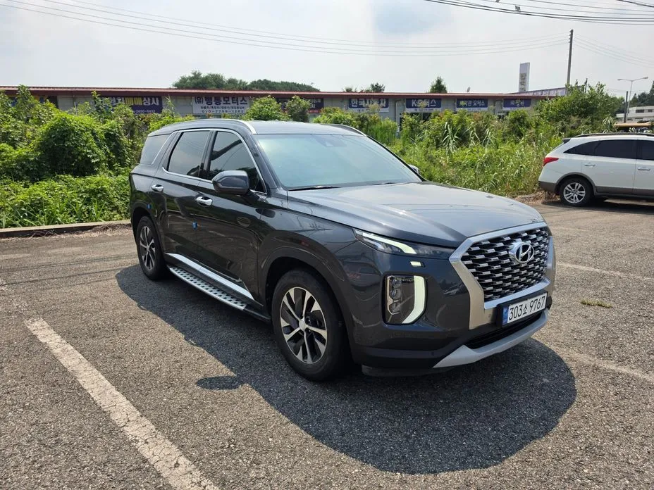 Hyundai Palisade — фото 6