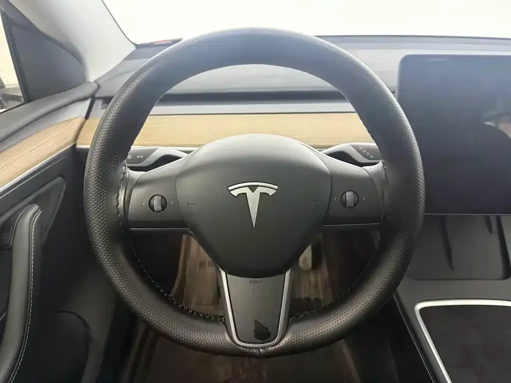 Tesla Model Y — фото 10