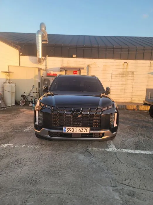 Hyundai Palisade — фото 6
