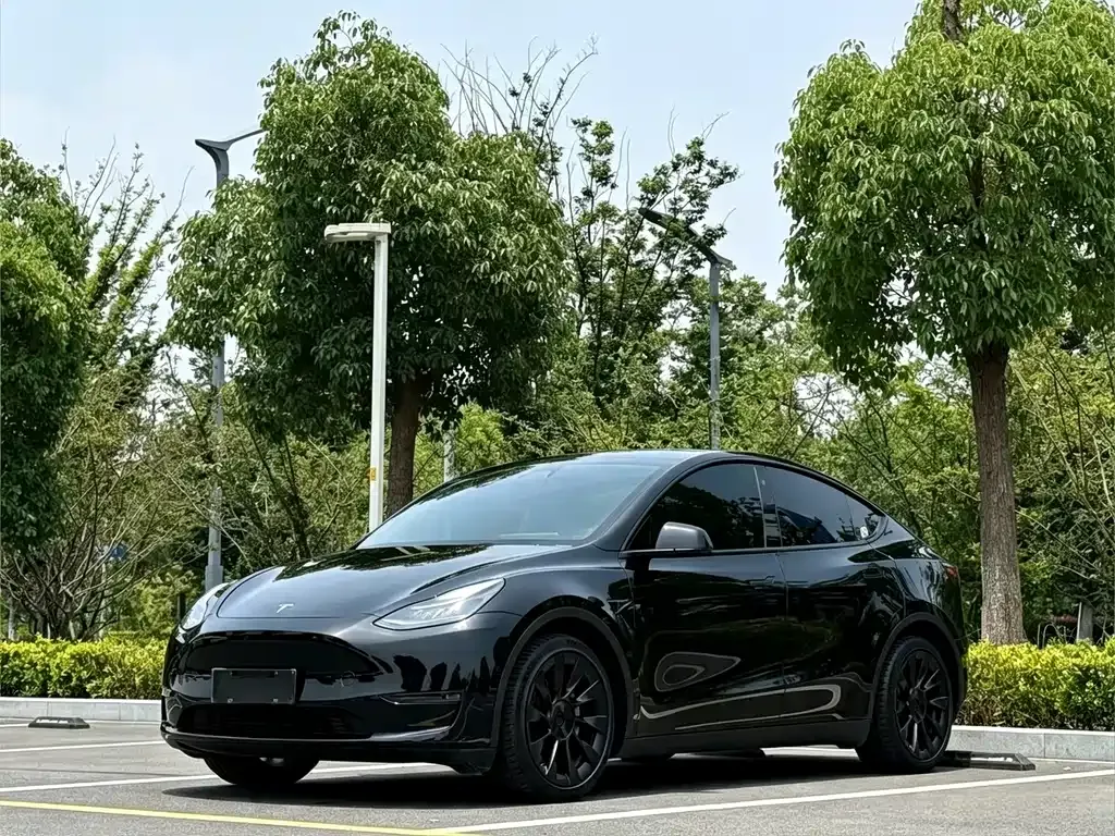 Tesla Model Y — фото 1