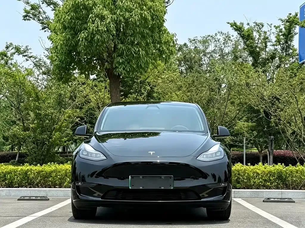 Tesla Model Y — фото 6