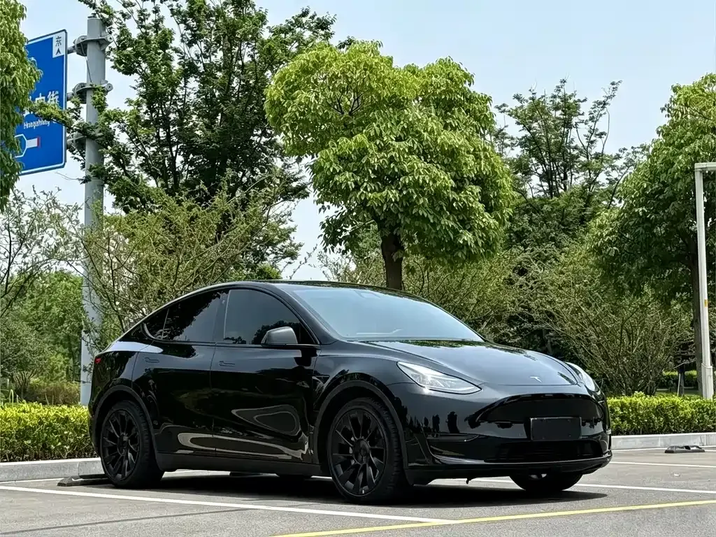 Tesla Model Y — фото 10