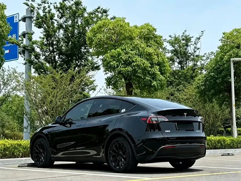 Tesla Model Y — фото 9