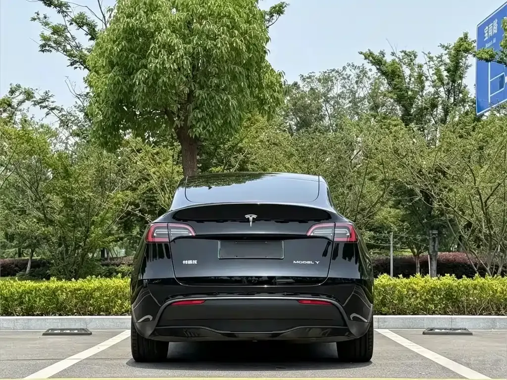 Tesla Model Y — фото 8