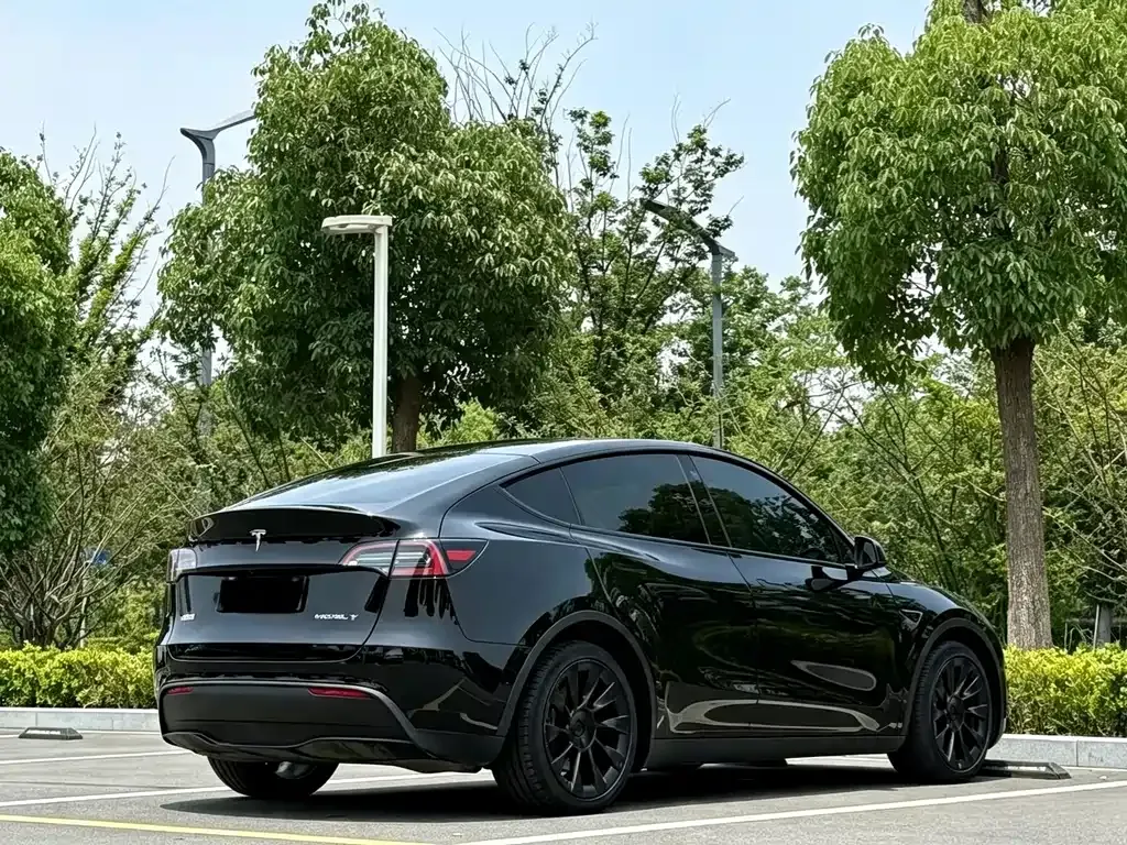 Tesla Model Y — фото 7