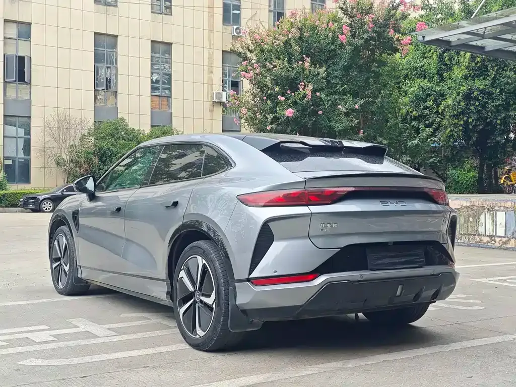 BYD L EV — фото 10