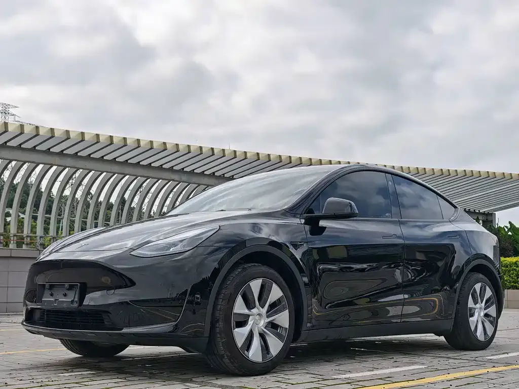 Tesla Model Y — фото 1