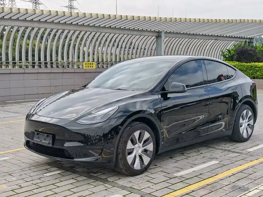 Tesla Model Y — фото 2