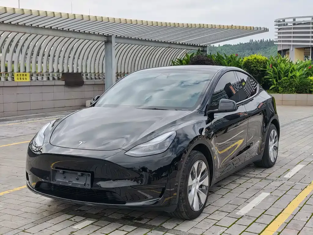Tesla Model Y — фото 3