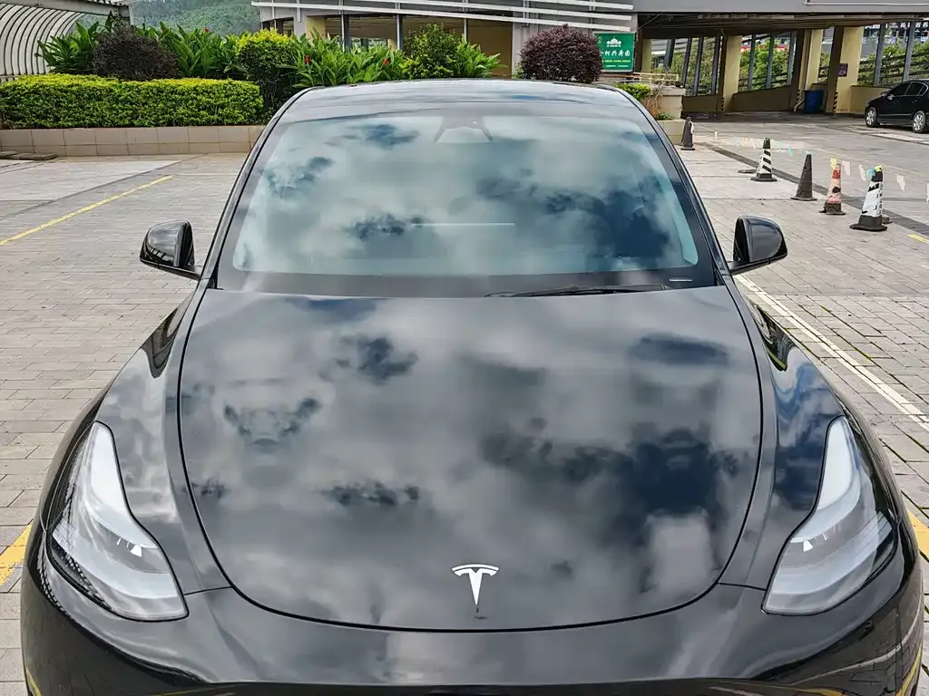 Tesla Model Y — фото 10
