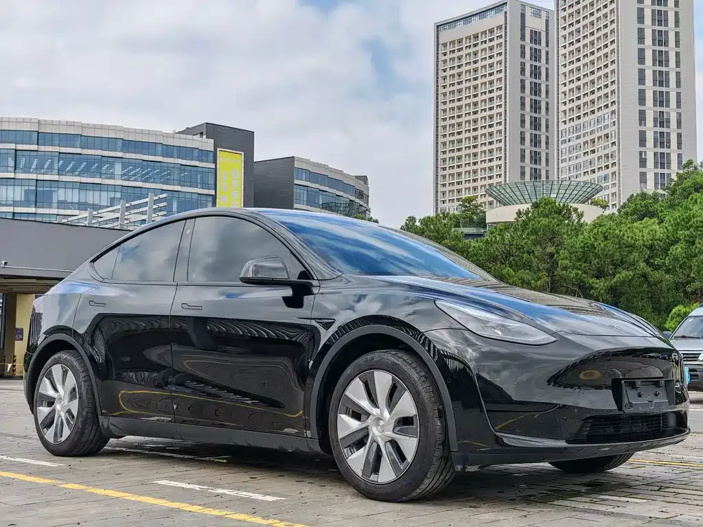 Tesla Model Y — фото 8
