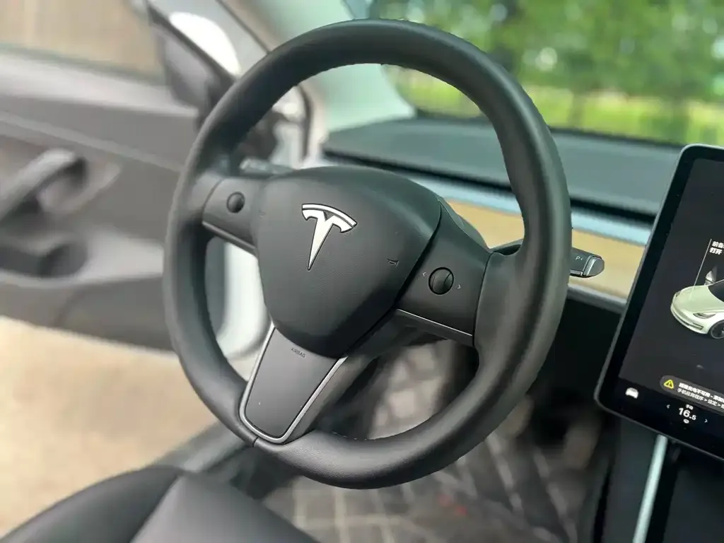 Tesla Model 3 — фото 2