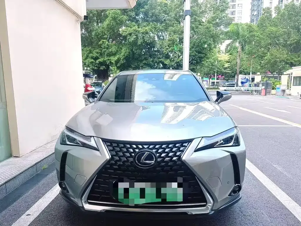 Lexus UX New Energy — фото 8