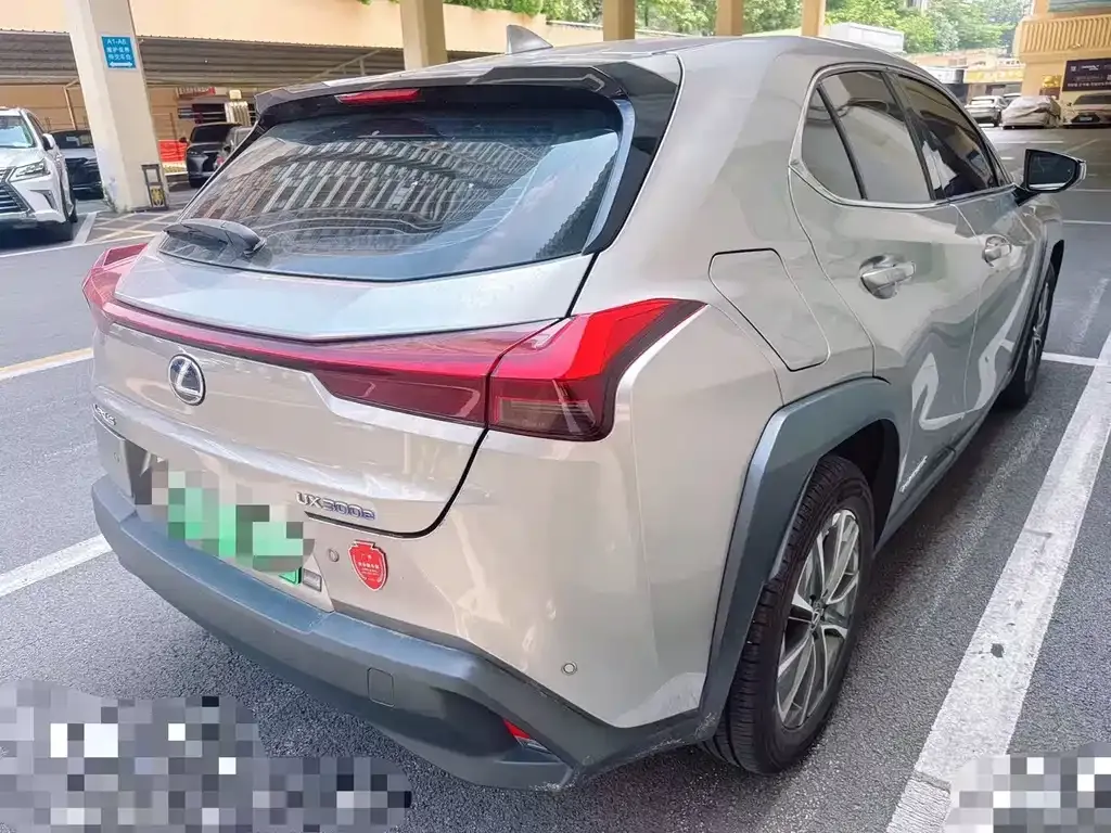 Lexus UX New Energy — фото 6