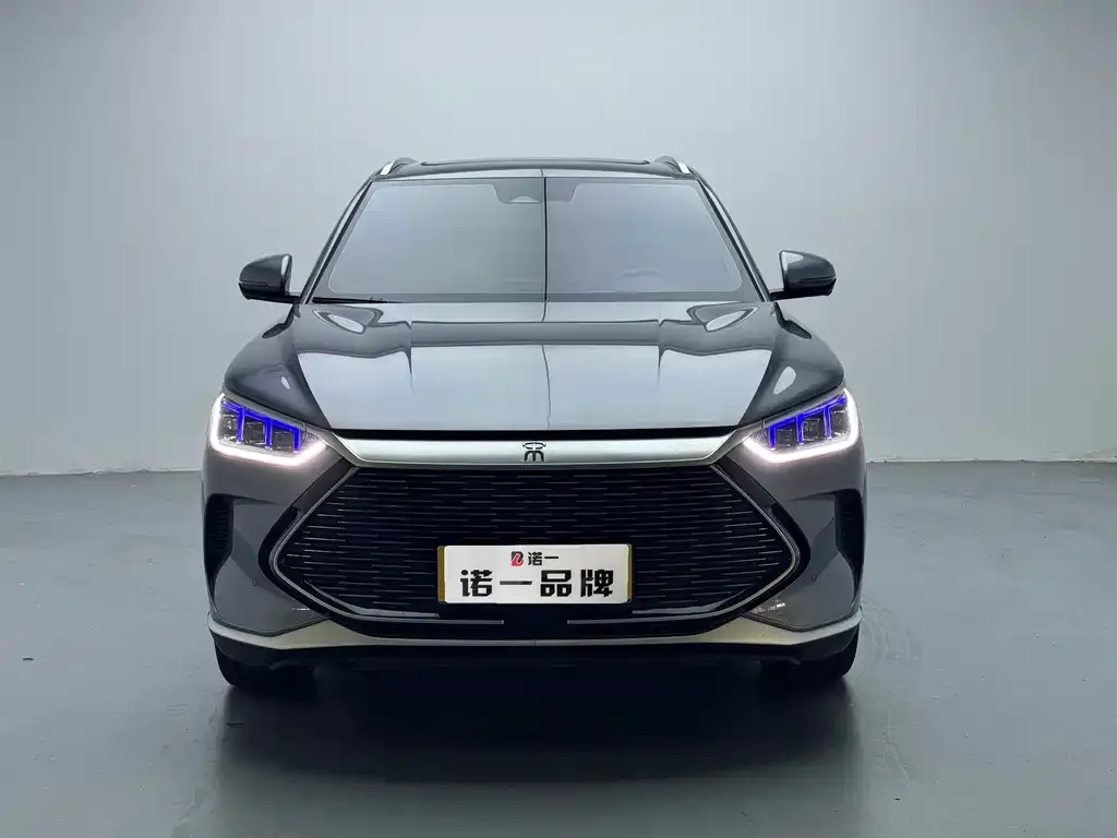 BYD PLUS New Energy — фото 3