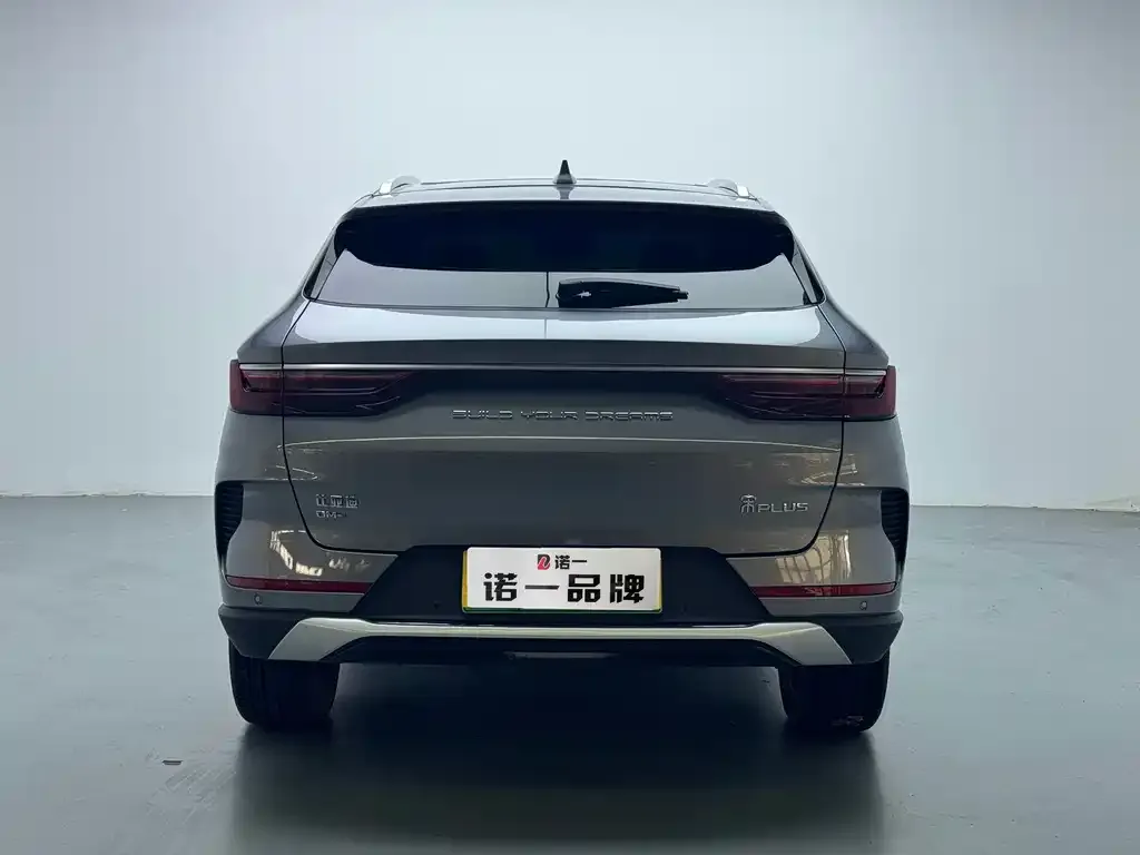 BYD PLUS New Energy — фото 6
